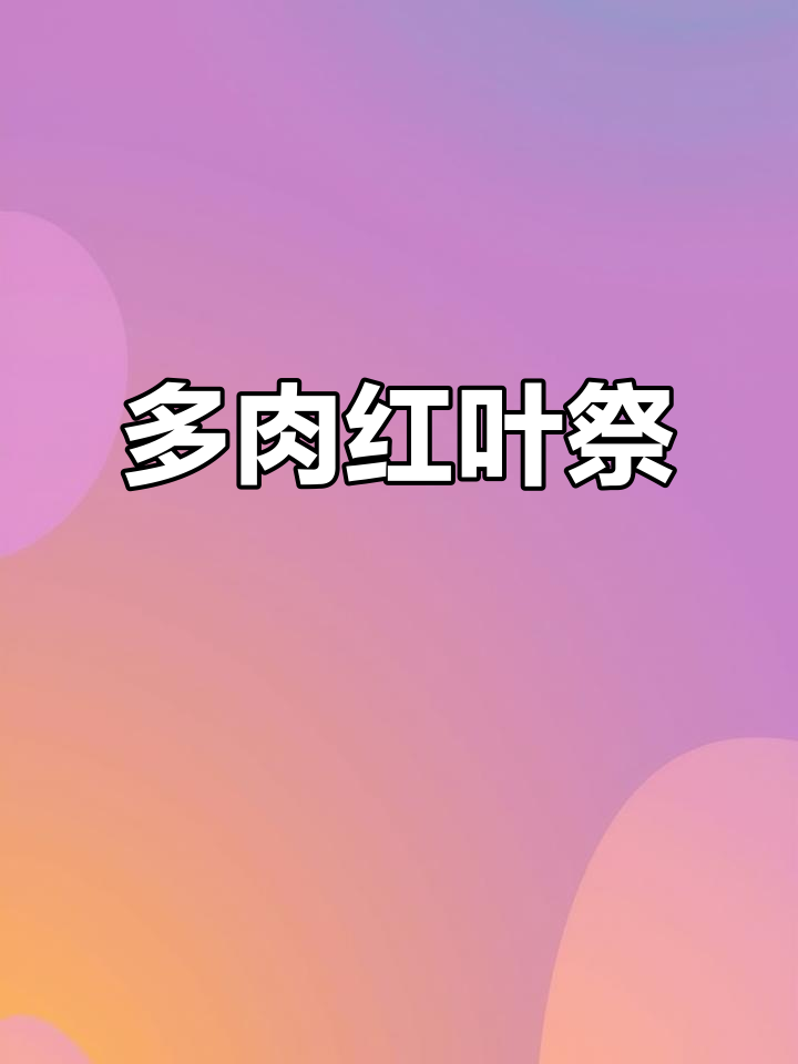 红叶祭多肉繁茂,生命力旺盛,随便放哪都能茁壮生长