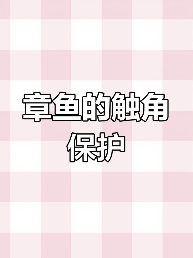 可爱章鱼害羞躲藏,潜水员围观