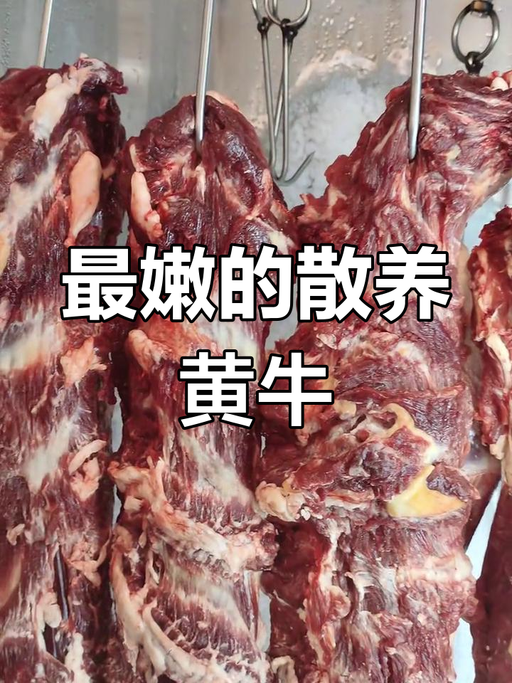 吊龙肉:黄牛肉最嫩的部位