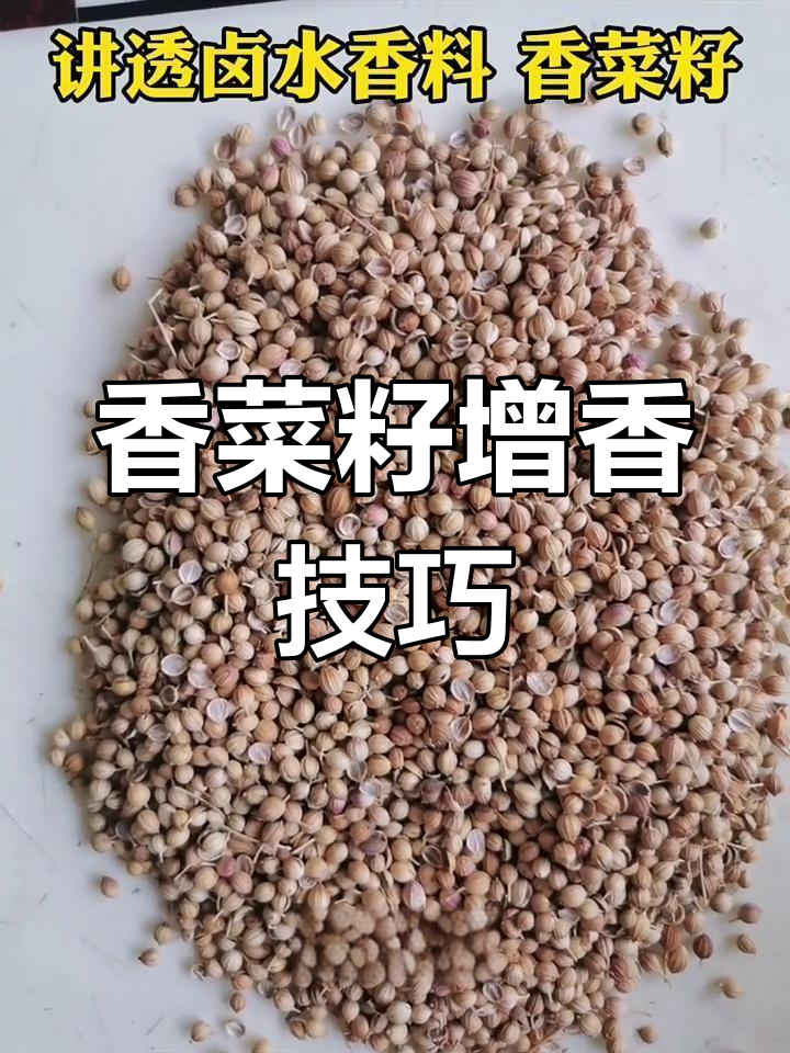 香菜籽的香气秘密:如何提升卤肉香味层次