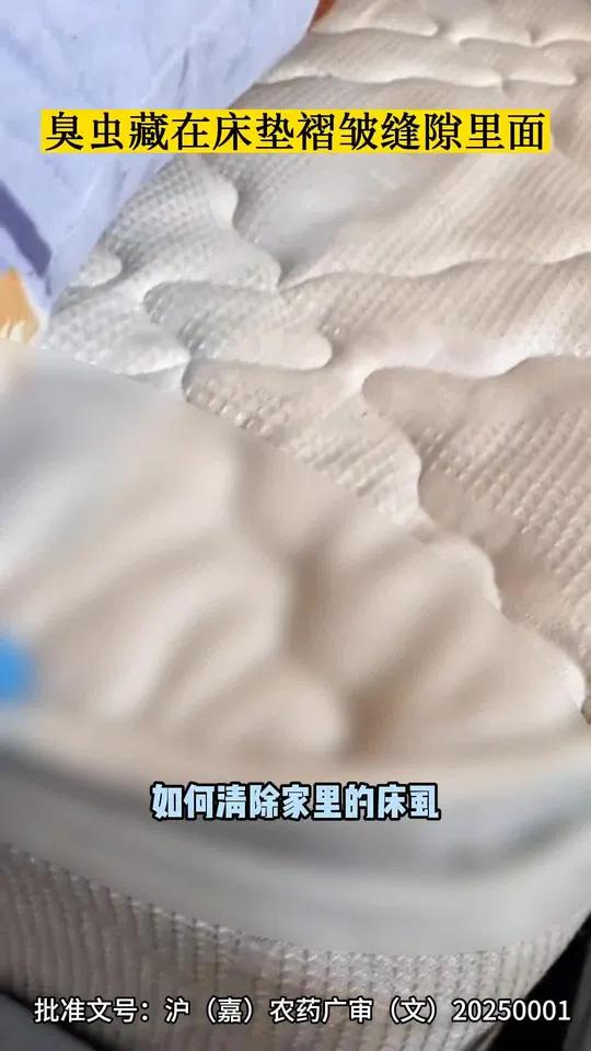 家里有臭虫,蚊子,跳蚤,蜱虫,蟑螂,蚂蚁,蜈蚣,蜘蛛,蚰蜒,衣鱼,跳虫等各种虫子,都可以试