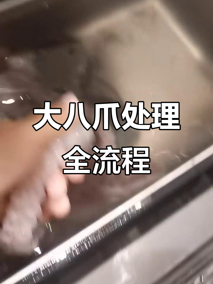 八爪鱼宰杀全过程，内脏清理大揭秘