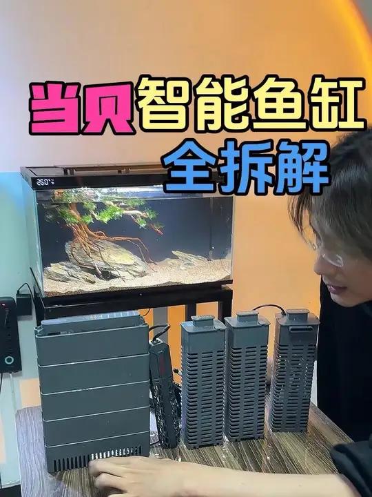 当贝鱼缸测评 作为一款智能一体鱼缸,已经是非常贴心了。能看出是会养鱼的人参与设计的。但是他