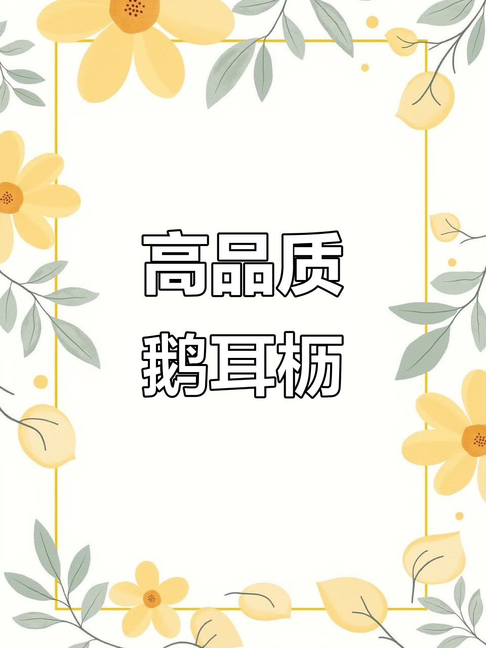 欧洲鹅耳枥:10-16公分规格,市政园林必备