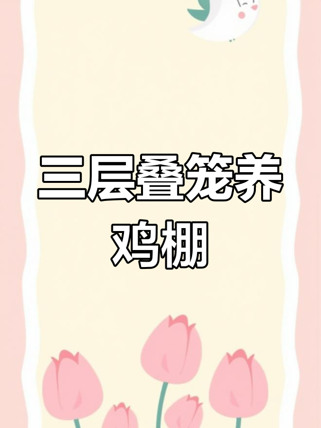 三层叠笼蛋鸡养殖棚设计,12米宽3.5米高