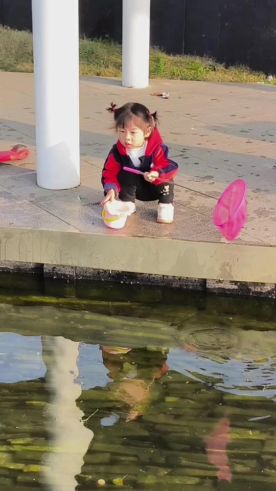 捞鱼