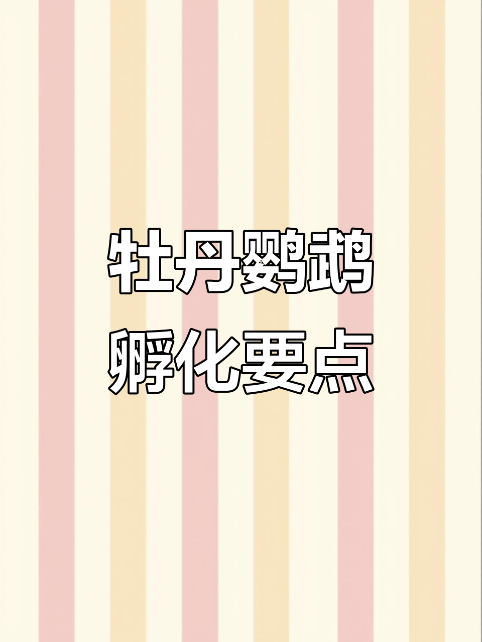 牡丹鹦鹉孵化技巧大揭秘:温度、湿度与转蛋频率全解析