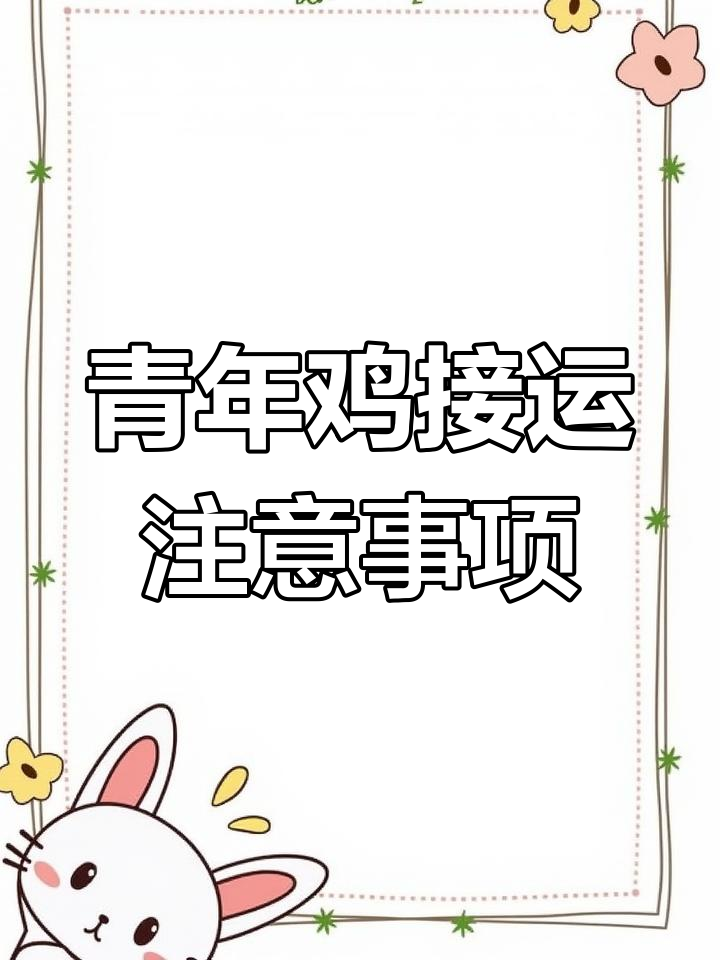 青年鸡接运技巧:如何避免感冒和应急反应