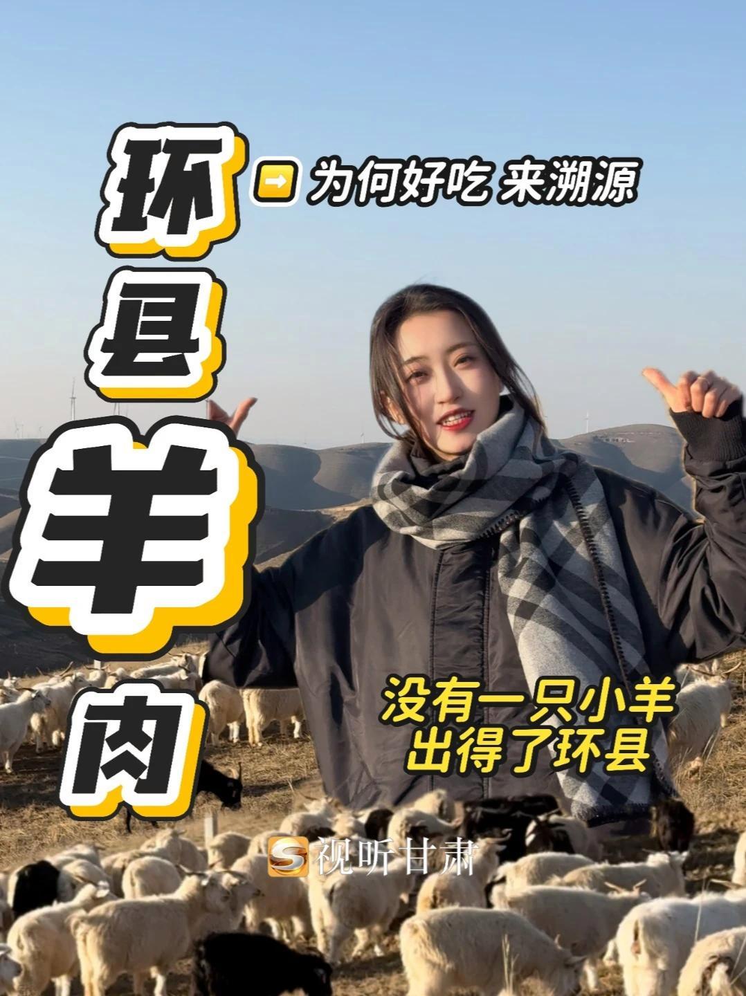 走！抓小羊啦！外地的朋友们一定不知道，甘肃各个市县的羊肉做法都不同。这次带你去庆阳环县溯源
