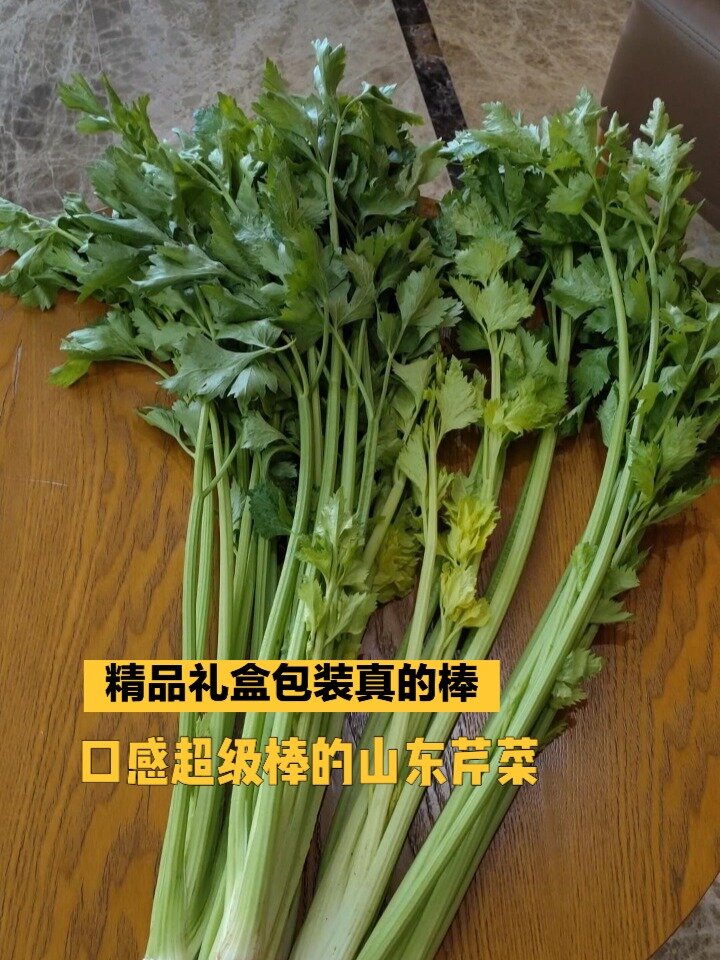 山东马家沟的芹菜真的很有名