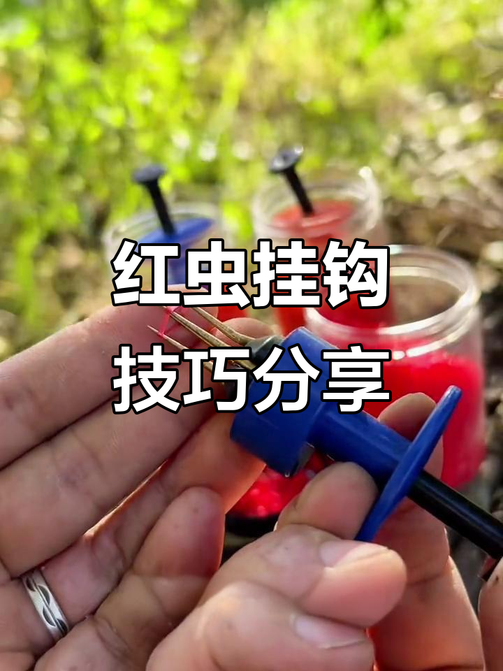 钓鱼人必看!红虫挂钩技巧大揭秘,轻松掌握正确方法