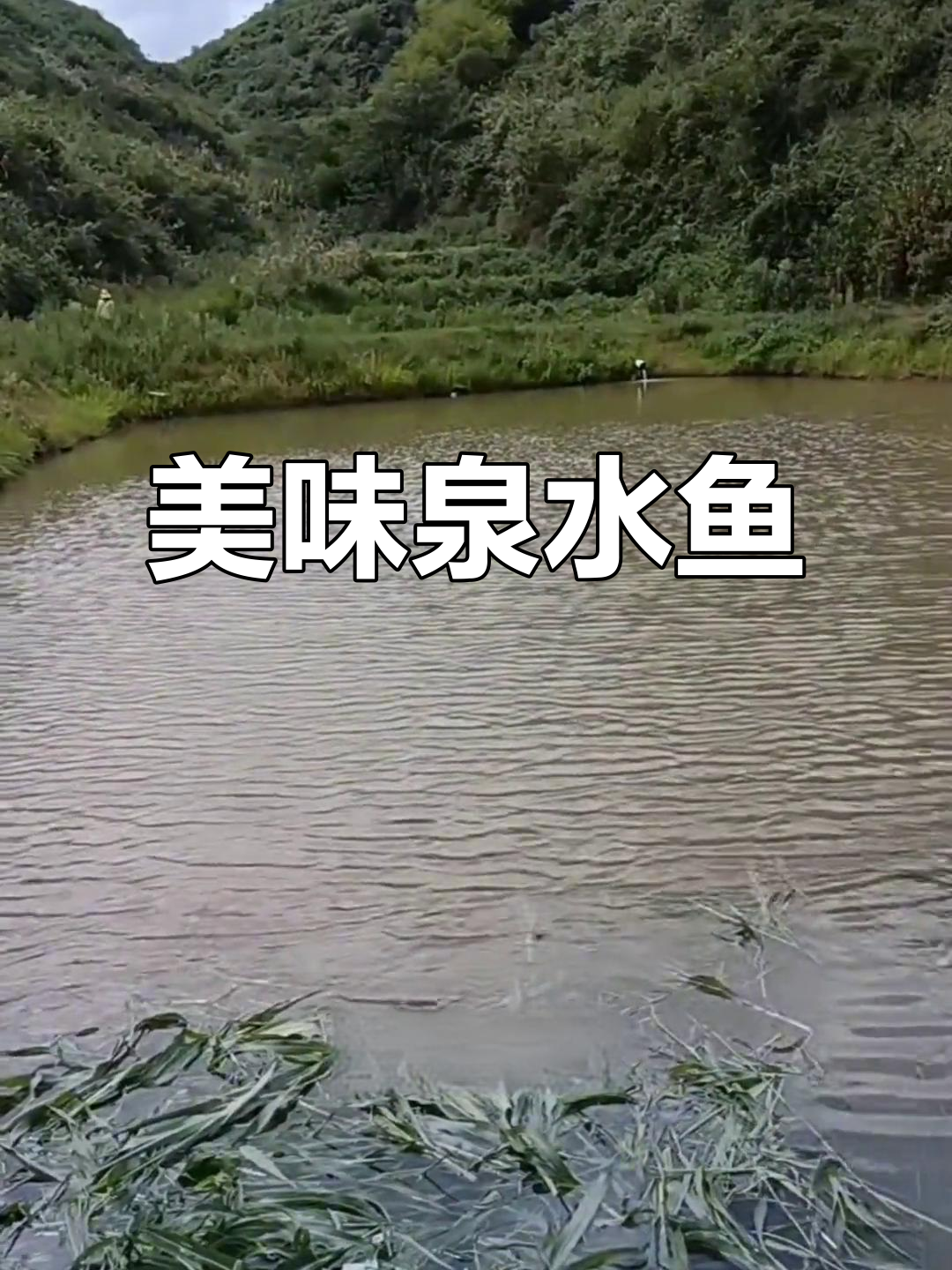 王小厨餐饮店:泉水鱼与鸡鱼籽的美味碰撞,经济又实惠