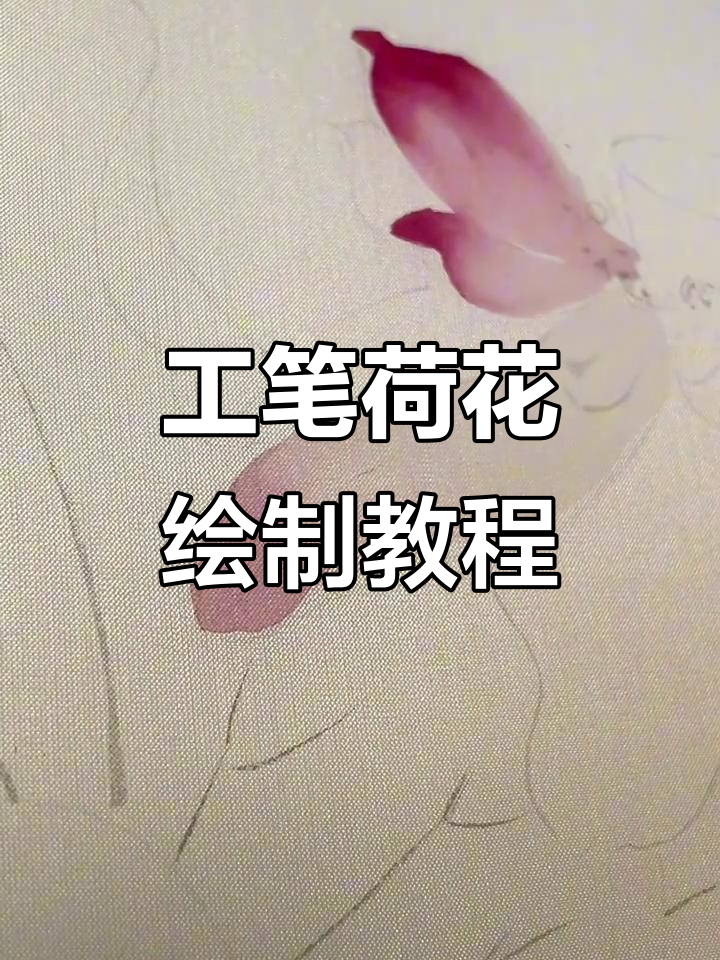 荷花工笔画技巧:从线条到色彩的完美过渡