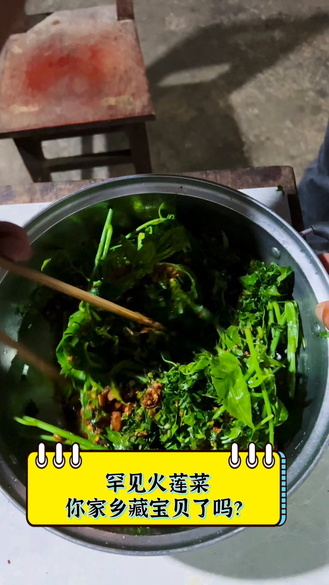 罕见火莲菜,你家乡藏宝贝了吗?