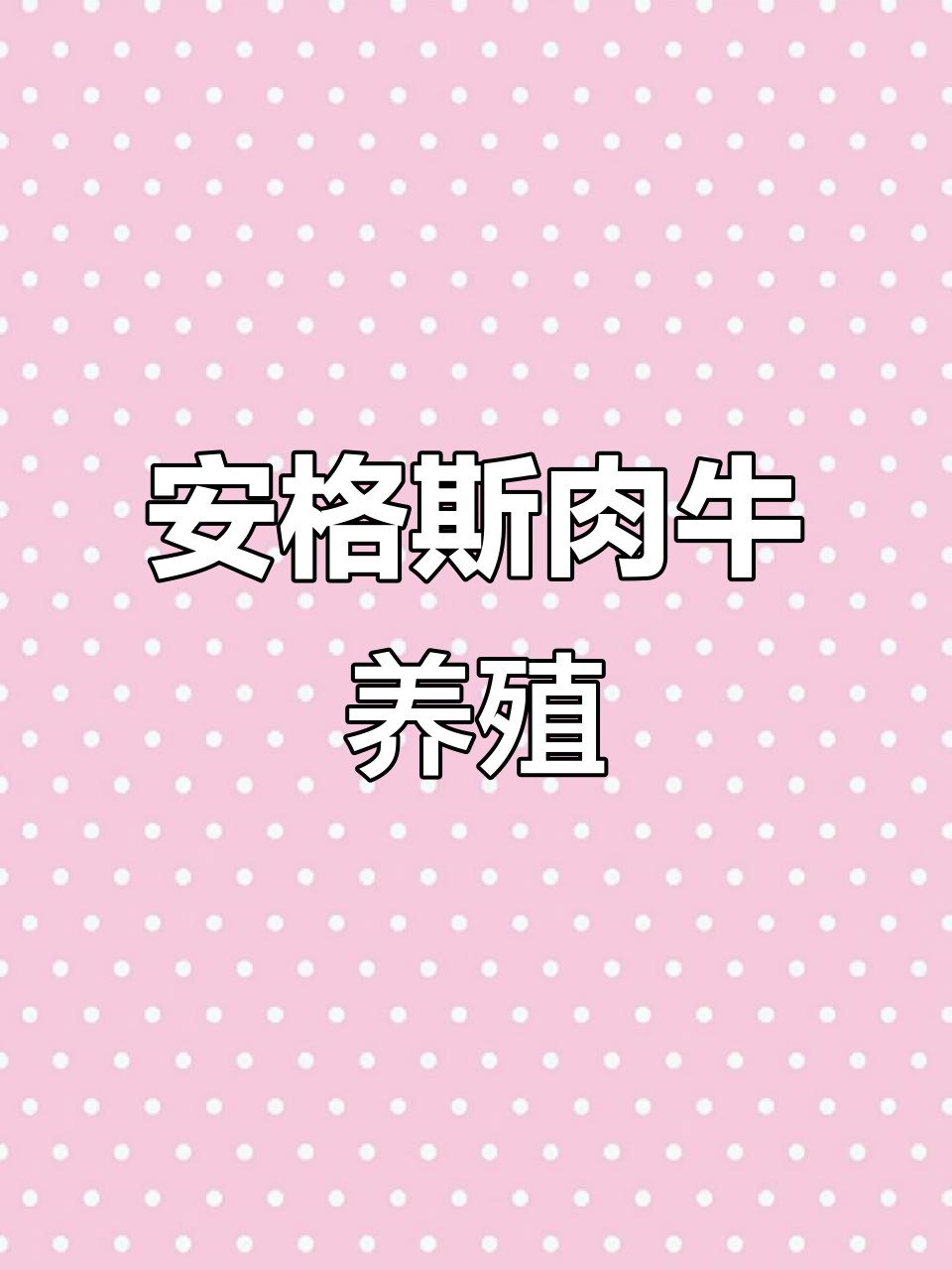 农业科技助力肉牛养殖,安格斯品种引领未来
