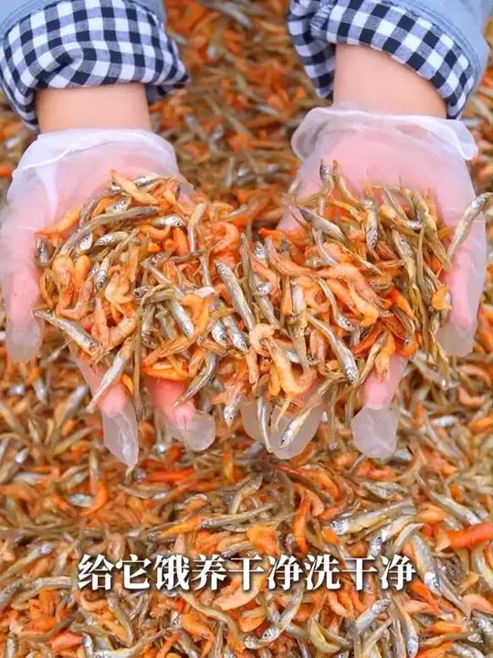 一口小鱼虾,乡愁瞬间被填满,满满都是家的味