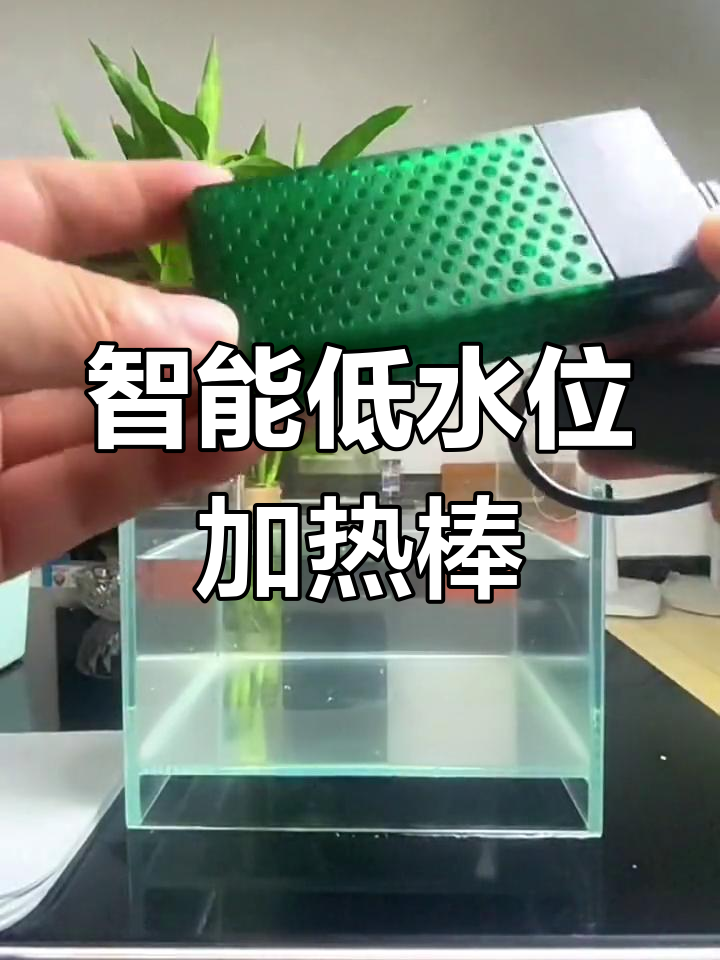 小巧变频加热棒,智能省电又稳定