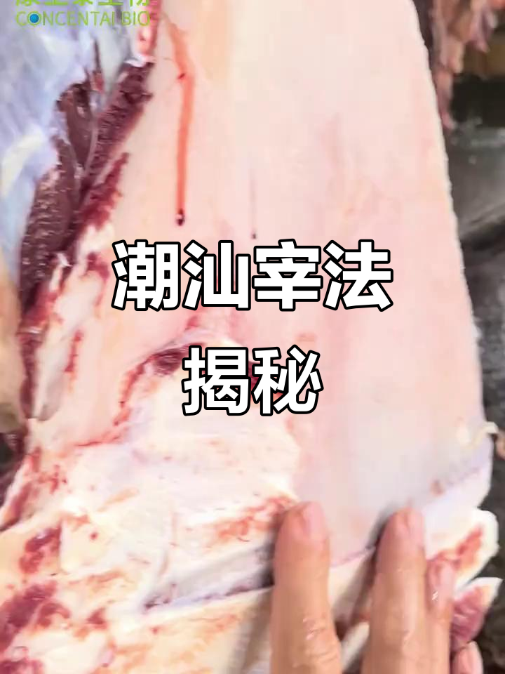 潮汕牛肉火锅：匙皮与石皮的独特分割技巧