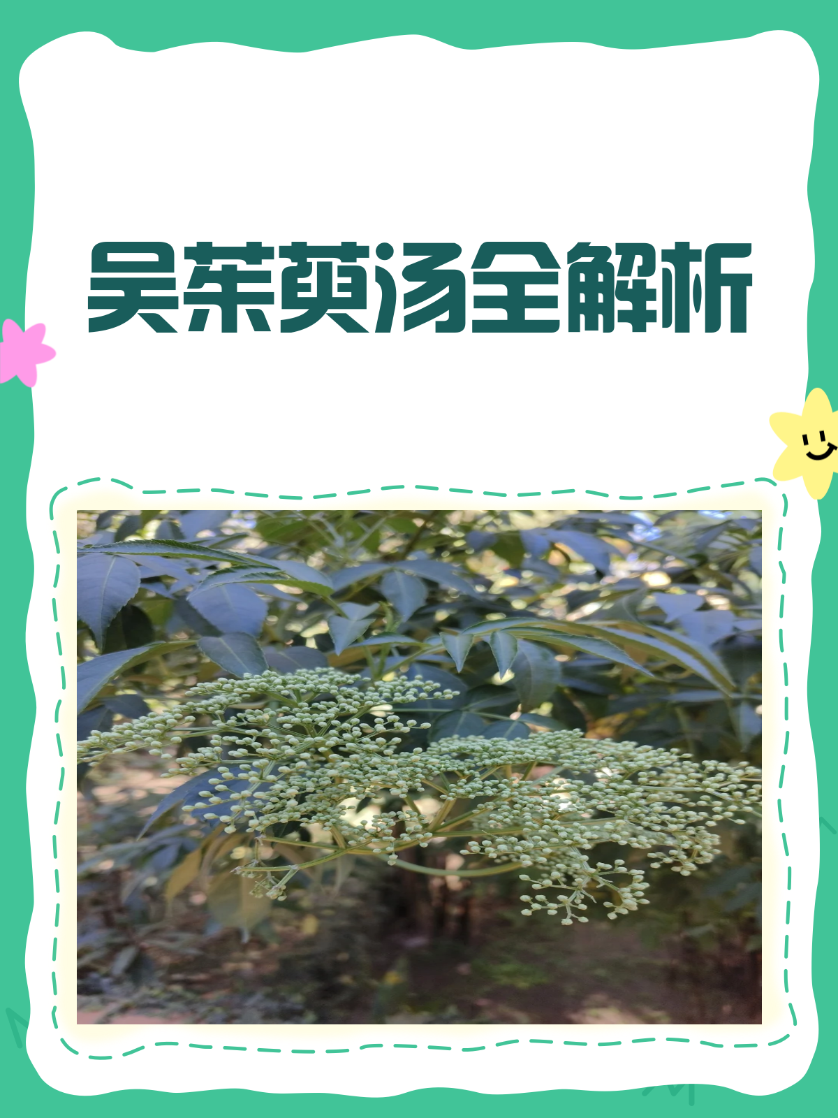 吴茱萸汤，温中补虚的良方