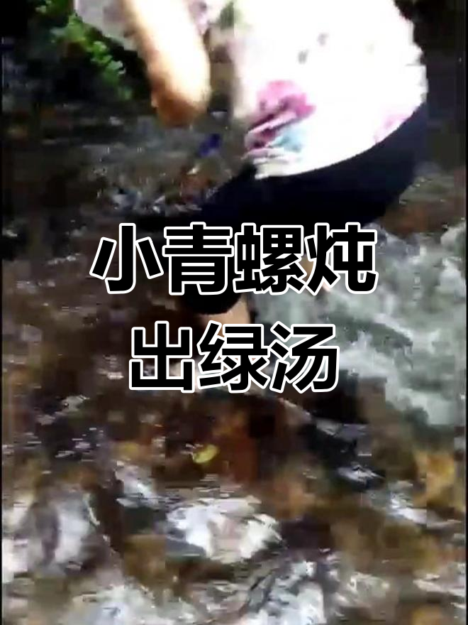 乡间小青螺炖汤,绿色鲜美