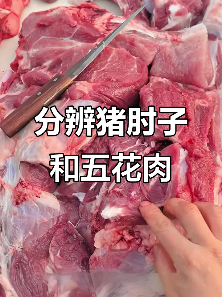 如何区分猪肘子与五花肉,了解猪肉不同部位的特点