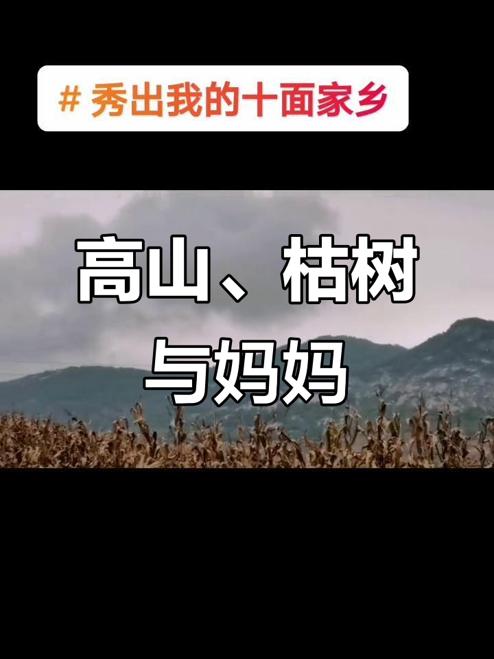 家乡的苦菜花与高山蚂蚱,妈妈的温暖陪伴