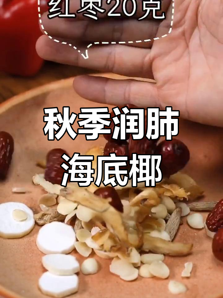 海底椰的神奇功效与吃法