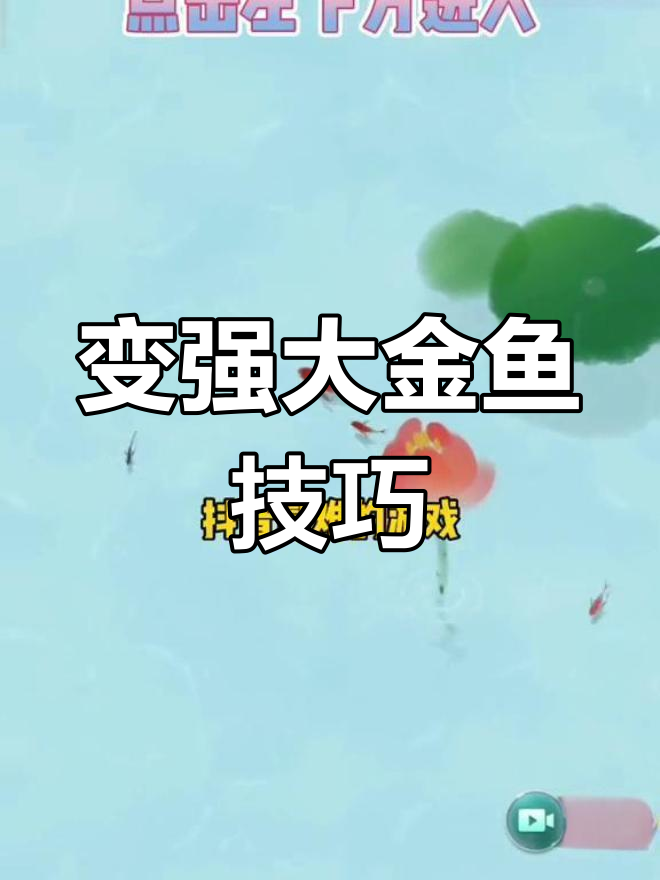鱼戏荷塘游戏攻略,轻松变大变强