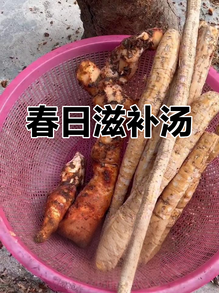 春季滋补汤,土茯苓与乌龟慢炖,香气扑鼻,营养满分