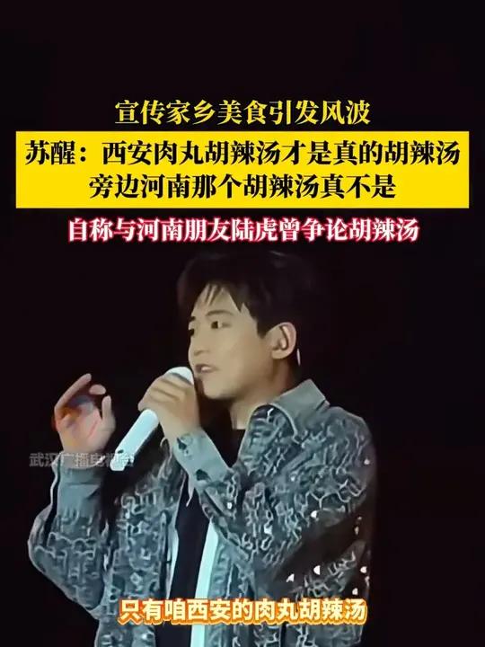苏醒称西安肉丸胡辣汤才是真正的胡辣汤，河南的胡辣汤不是，引发争议