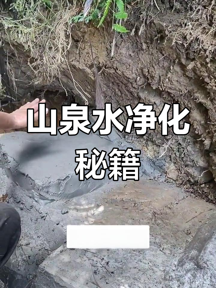 探索山泉水的净化过程,了解如何过滤纯净水