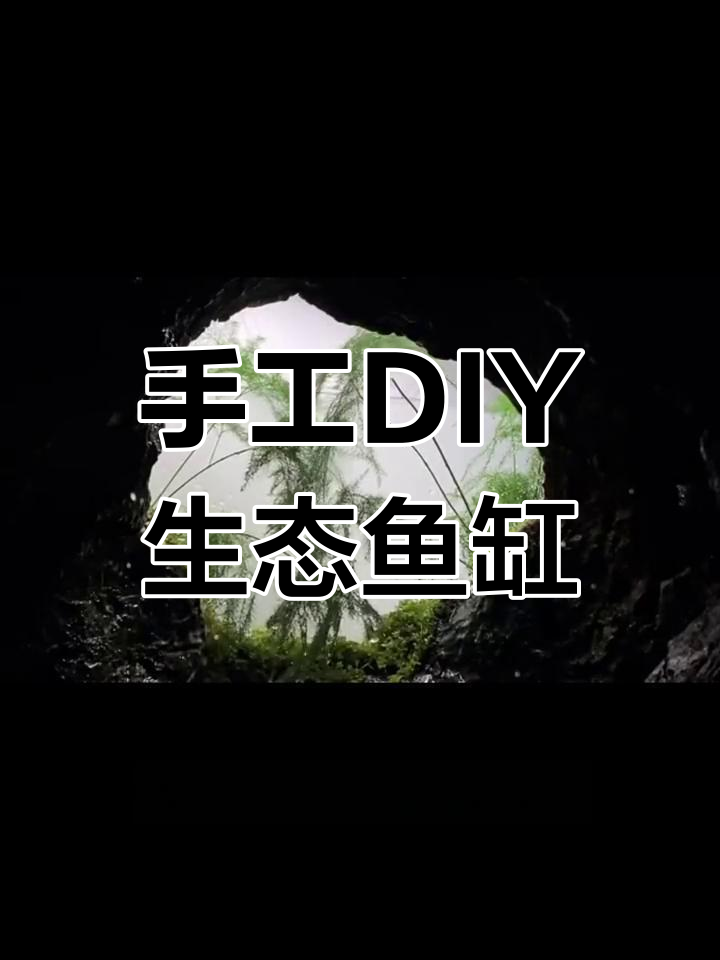 用200块打造精致水帘洞鱼缸,假山流水效果超赞