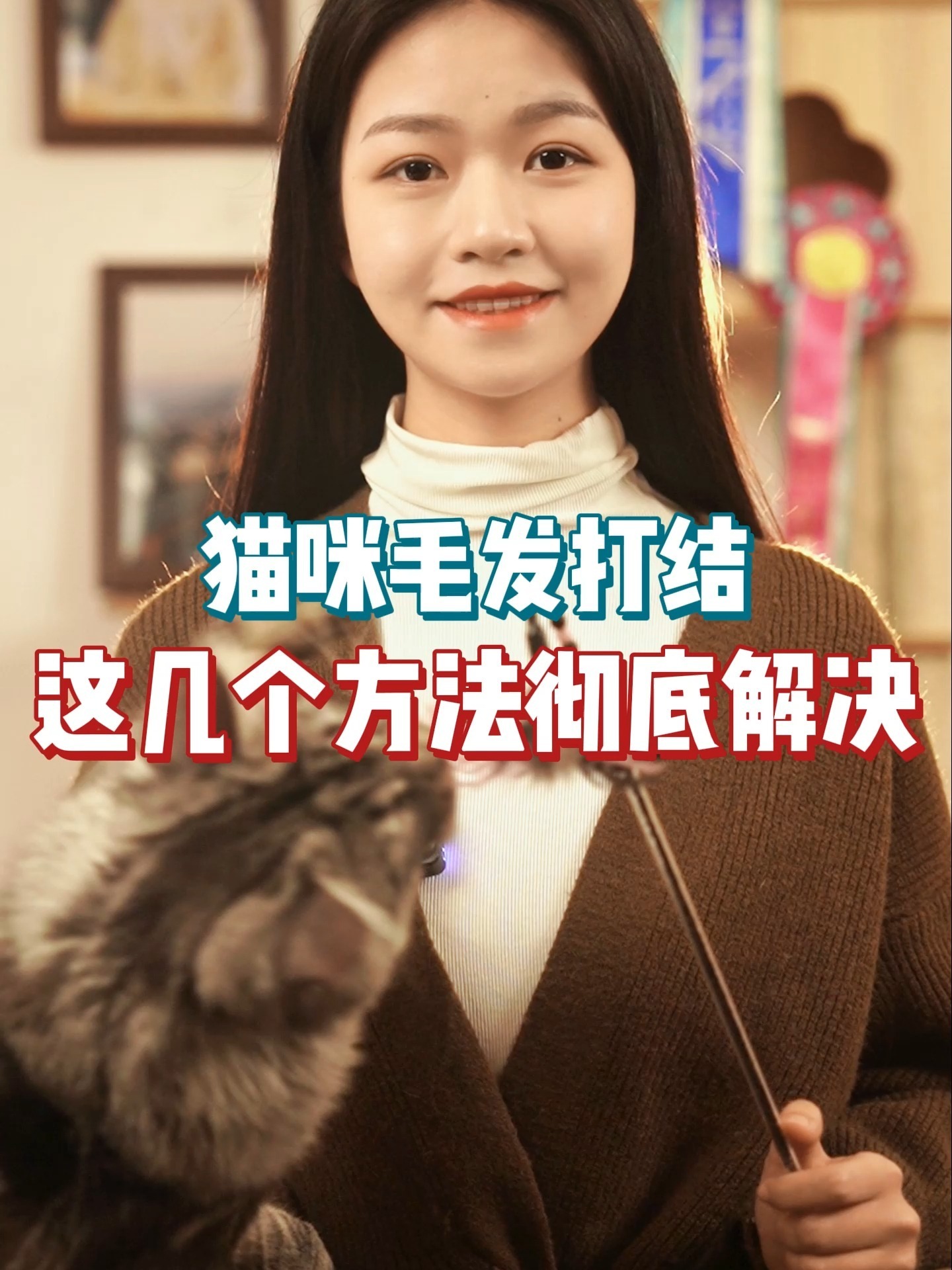 猫咪毛发打结是为什么?这几个方法彻底解决