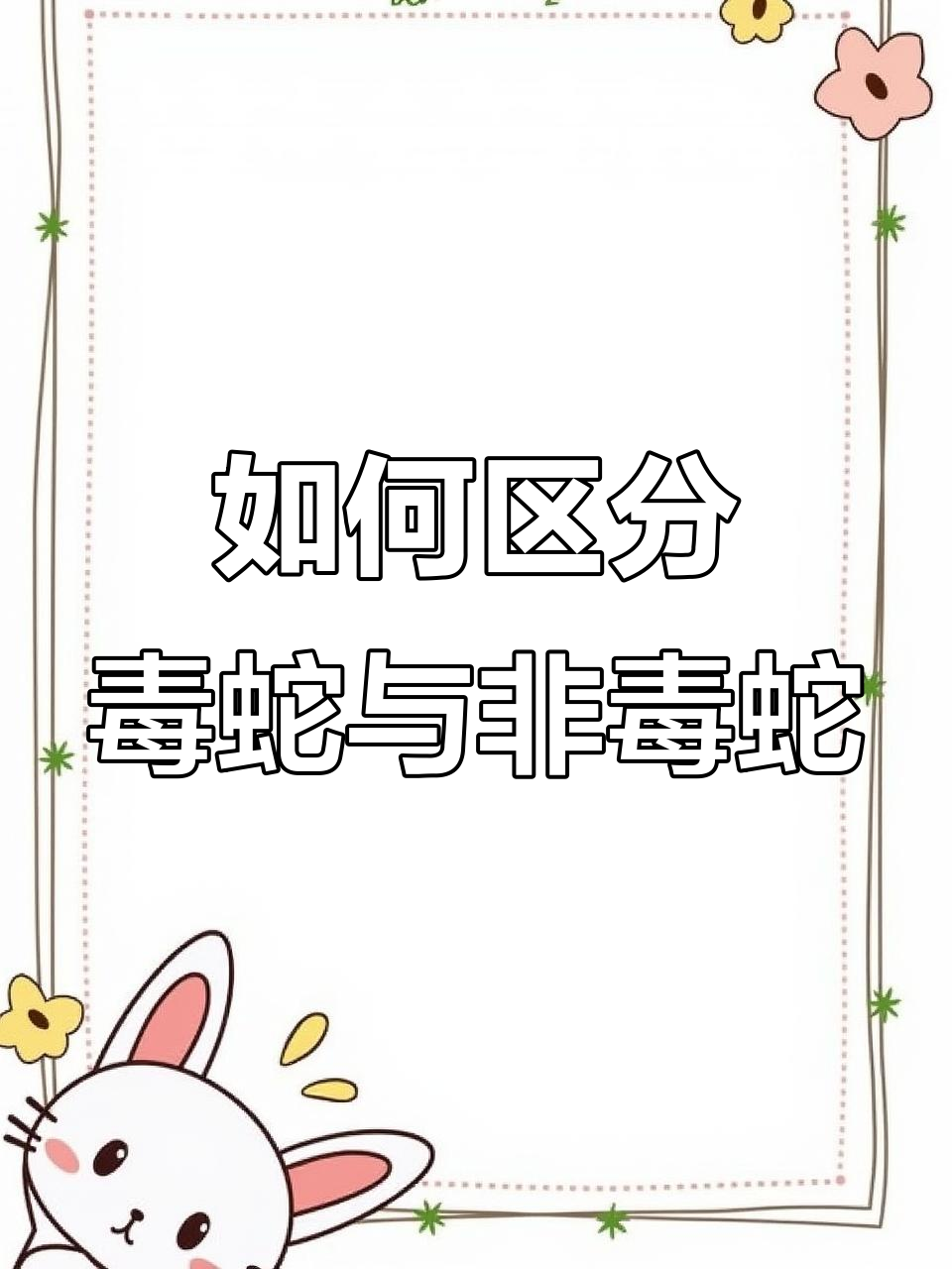 毒蛇与无毒蛇的特征大揭秘，如何辨别它们
