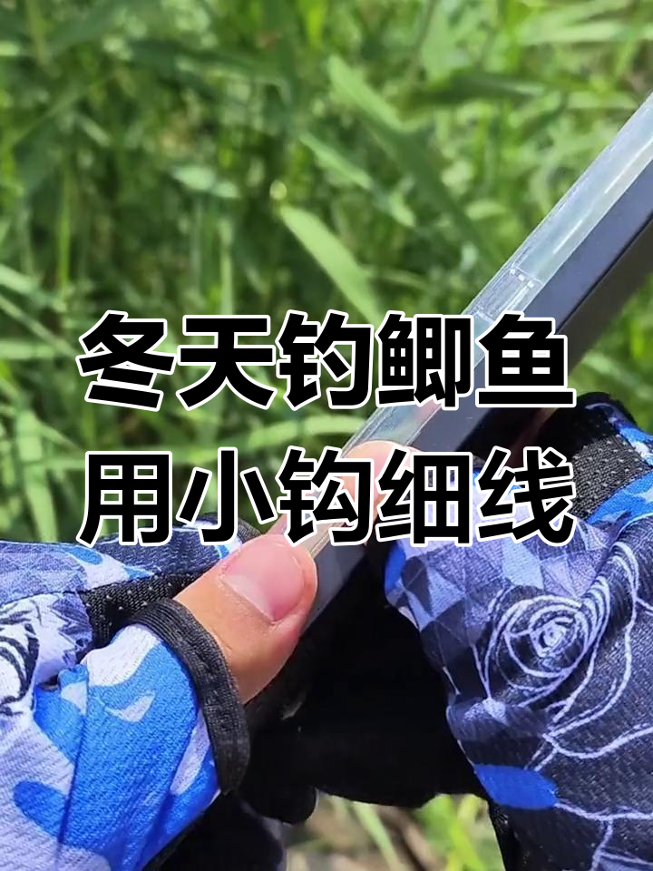 冬季钓鲫鱼必备轻巧线组,选对子线和钩才能提高成功率
