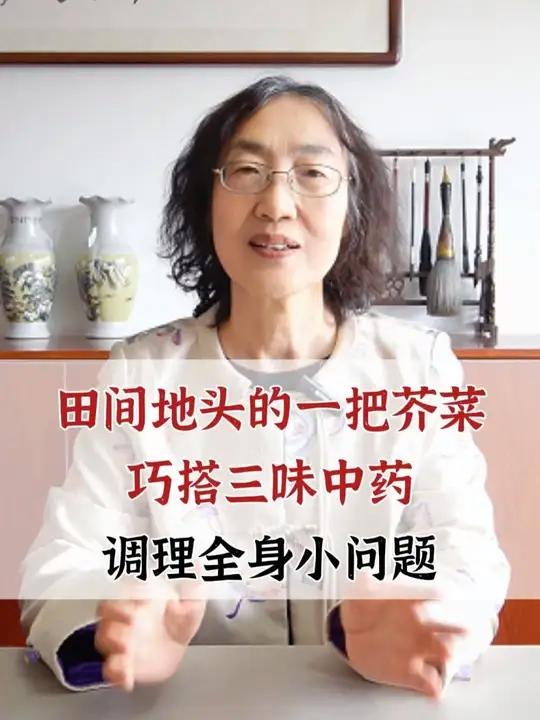 田间地头的一把芥菜,巧搭三味中药,调理全身小问题 头晕尿频