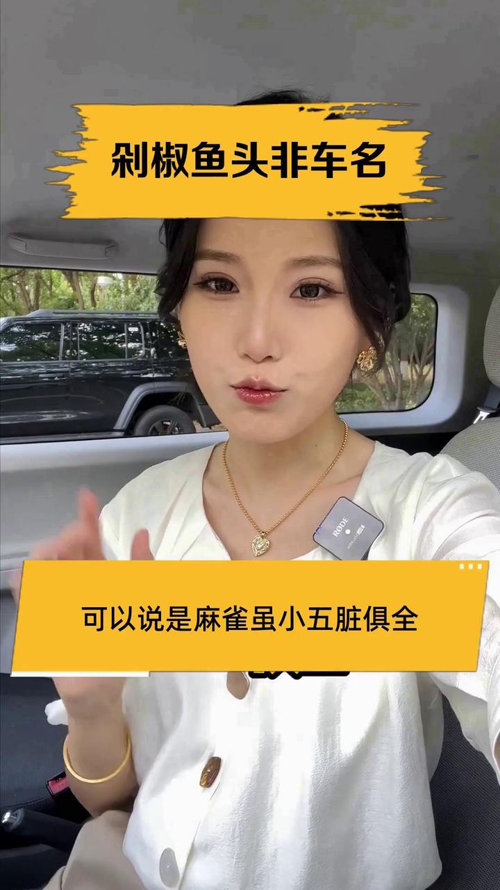 剁椒鱼头非车名