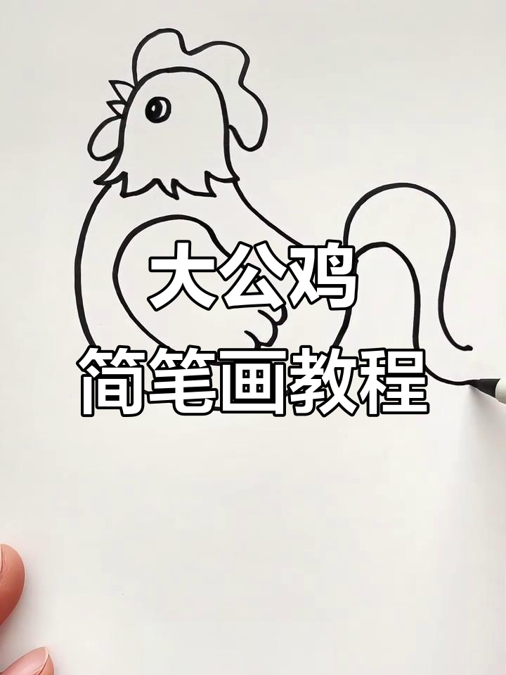 轻松学画大公鸡,步骤简单有趣