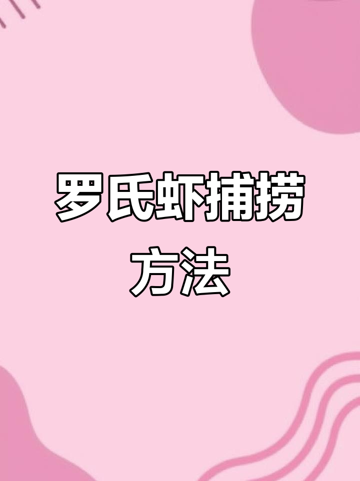 超大罗氏虾捕捉与处理技巧,沼虾和河虾的区别揭秘