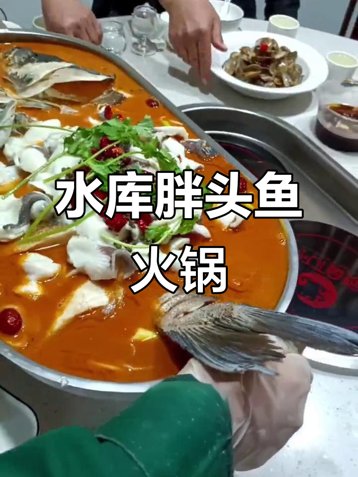 无锡正宗水库胖头鱼火锅,活鱼现抓现做,透明厨房让你放心吃