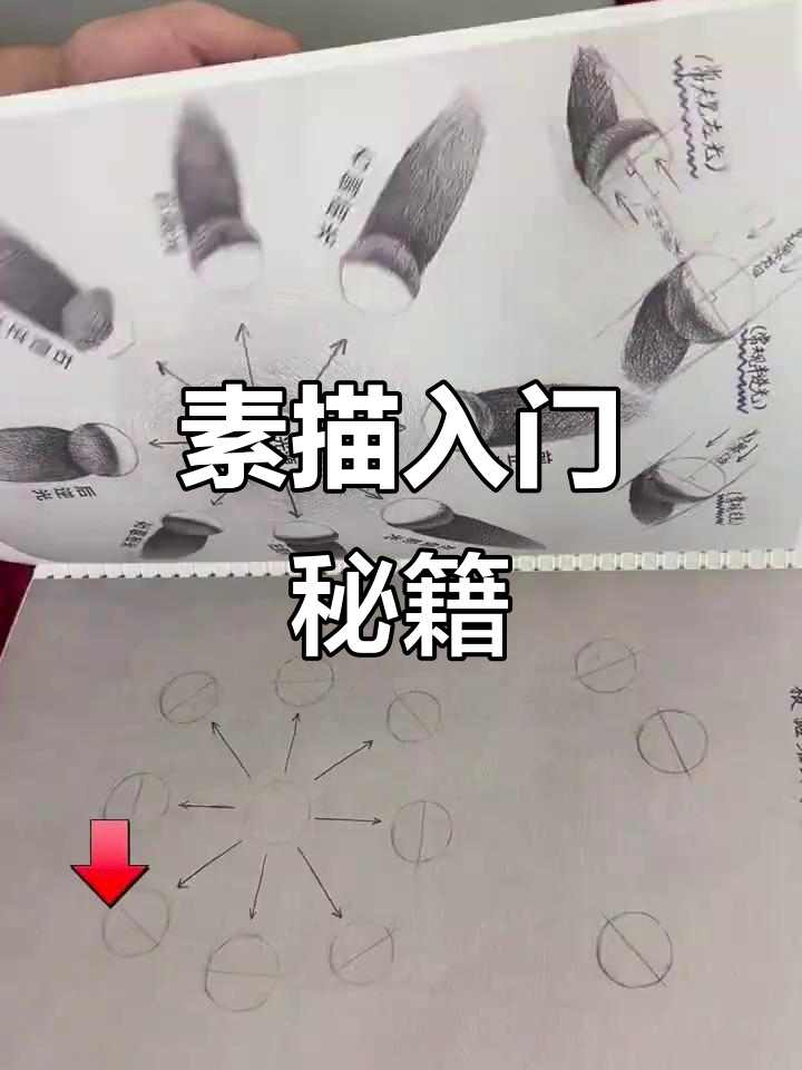素描入门,视频讲解助力掌握技巧与要点