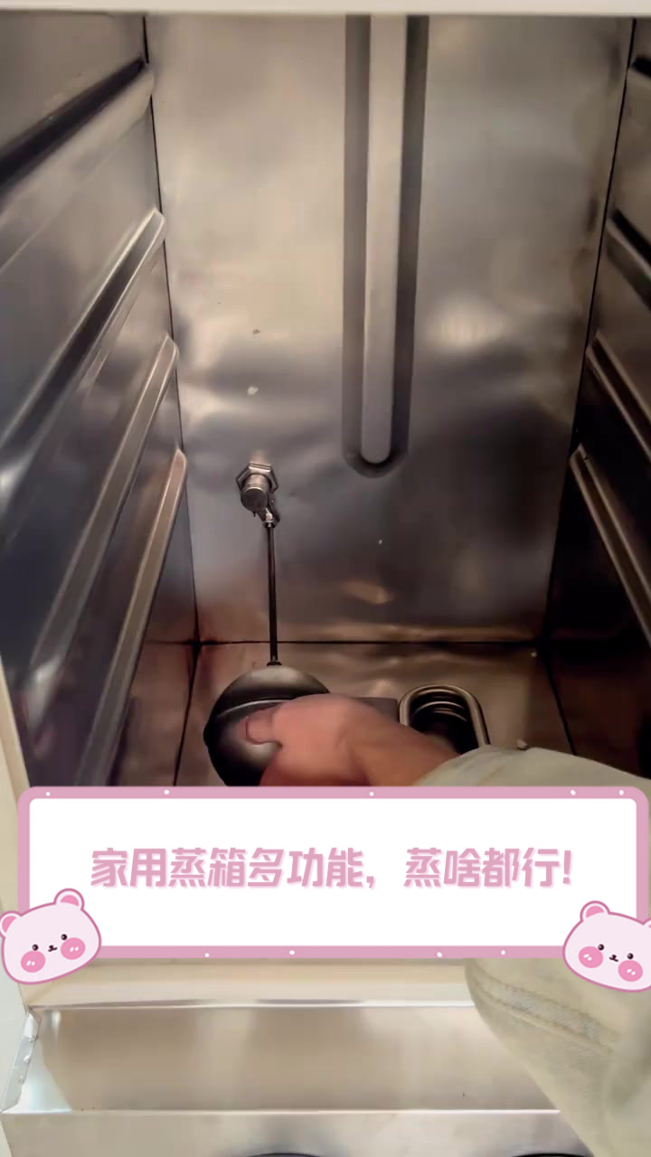 家用蒸箱多功能,蒸啥都行!