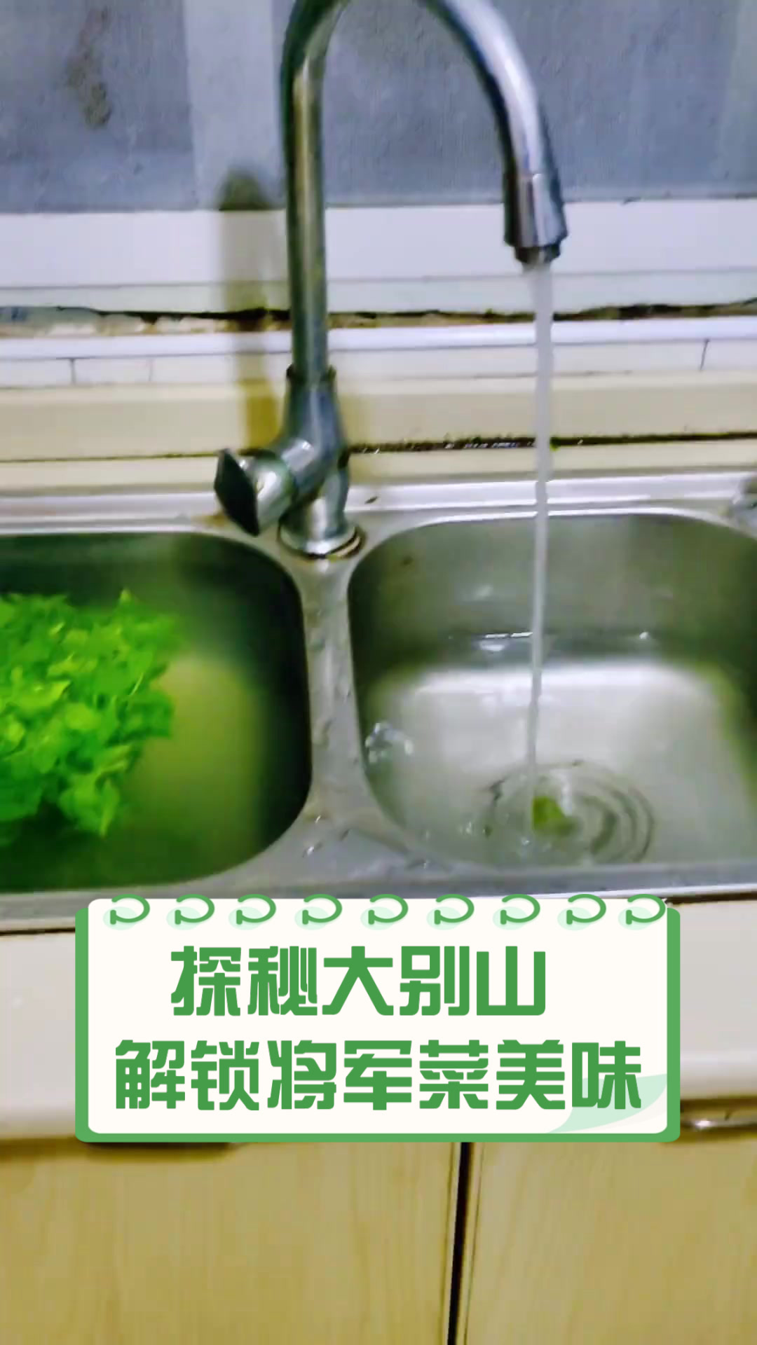 探秘大别山，解锁将军菜美味