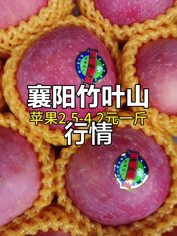 襄阳竹叶山市场8月12日水果蔬菜价格大揭秘,新鲜应季货源一览