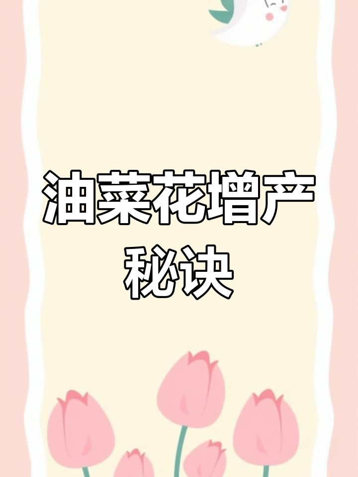 油菜花种植技巧,提升产量