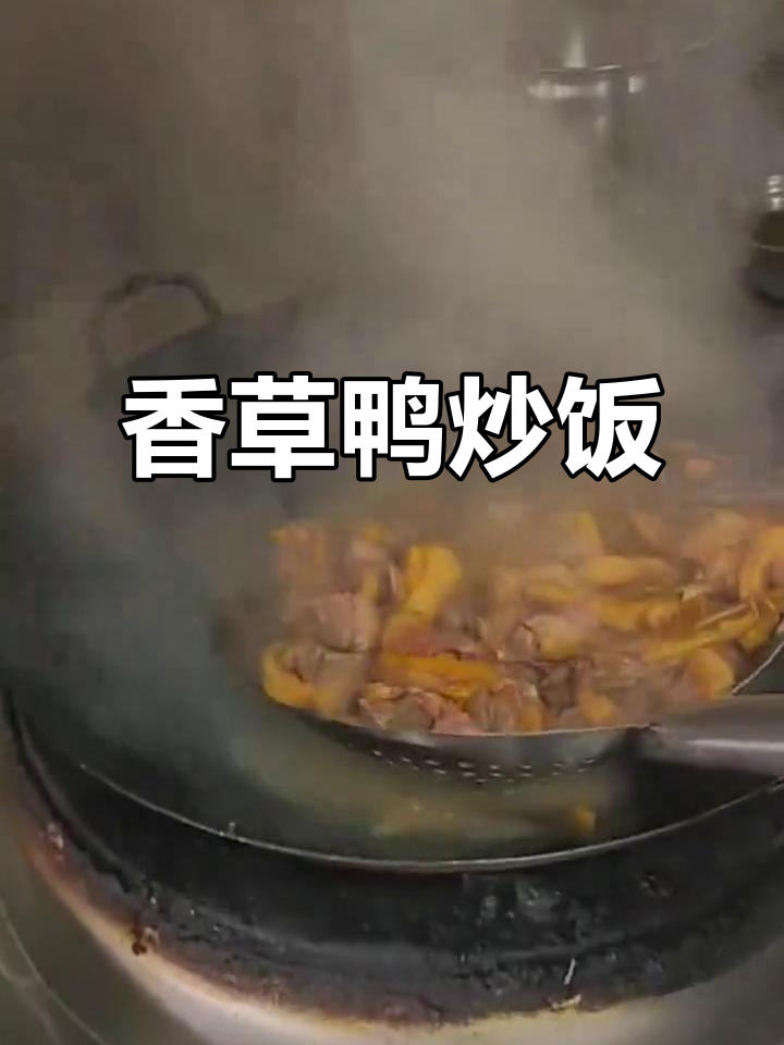 香草鸭肉炒饭,秘制配料让你回味无穷