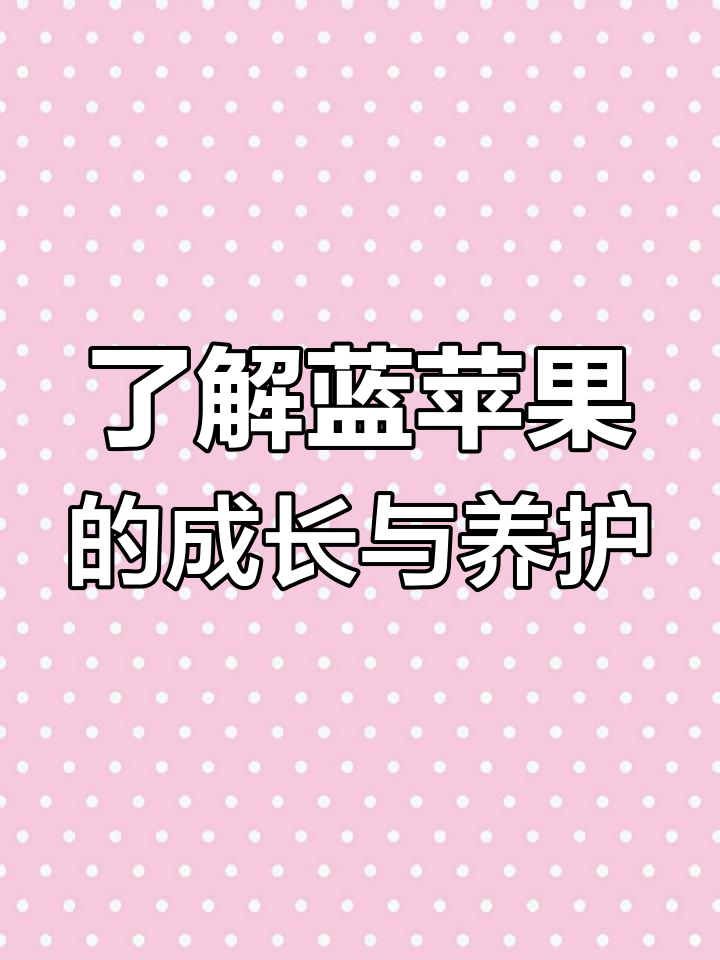 蓝苹果:从莲花树到果冻质感,养护全攻略