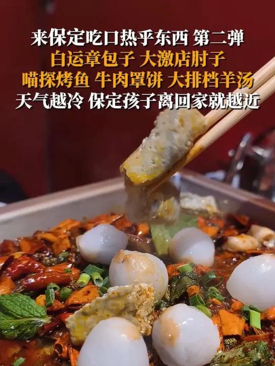 来保定吃口热乎东西 第二弹。白运章包子、大激店肘子、喵探烤鱼、牛肉罩饼、大排档羊汤……天气