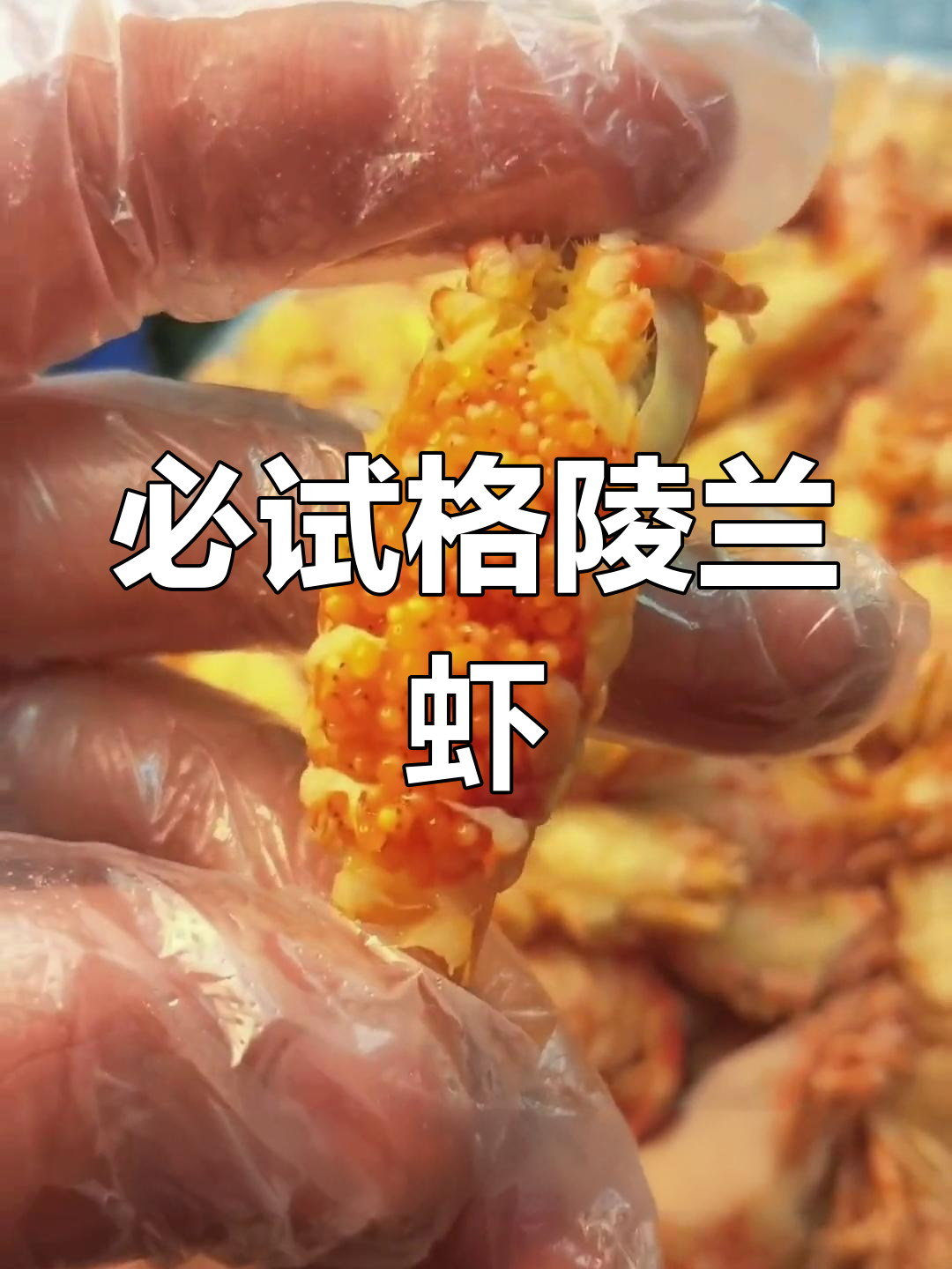 格陵兰火龙虾,肉质紧实超美味