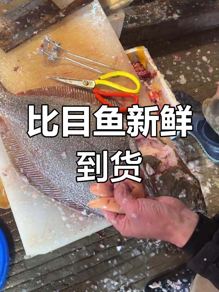 新鲜比目鱼,多种做法任你选